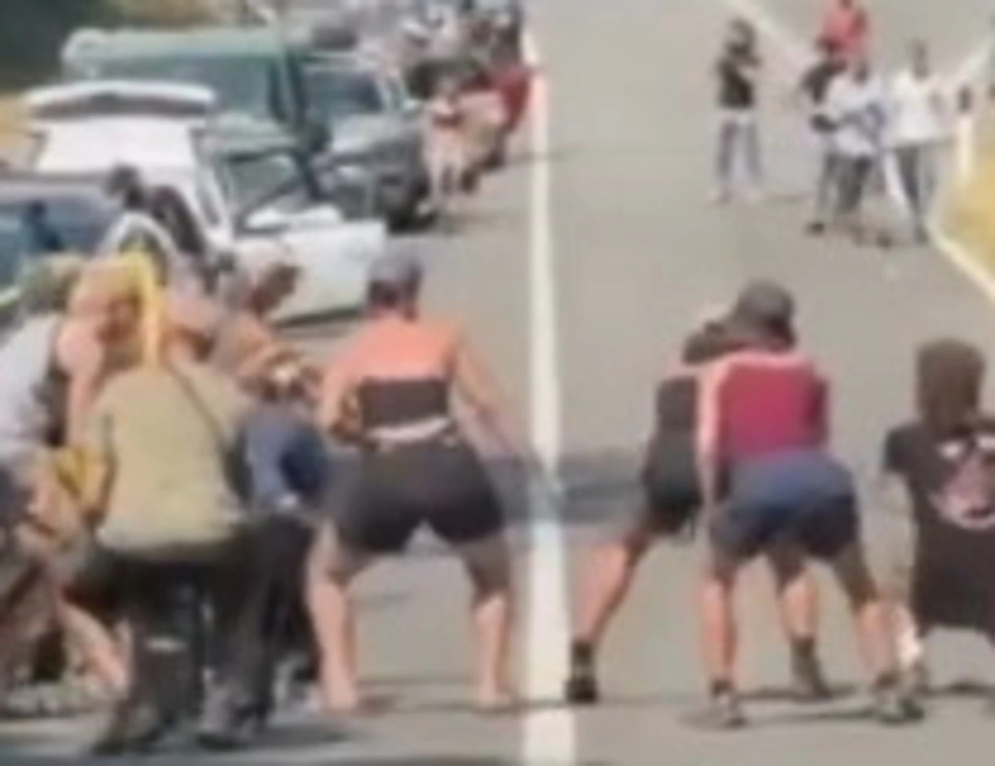 No-Tav, sceneggiata in Statale: "Mueve la colita", c'è la polizia e loro sculettano