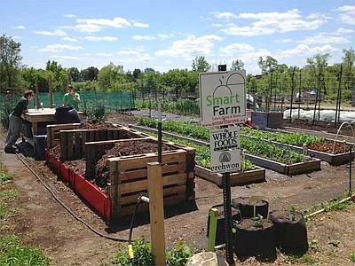 Agricoltura, giovani sempre piu' 'green' con 'smart farm'