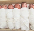 Australia, 12 figli in sei anni