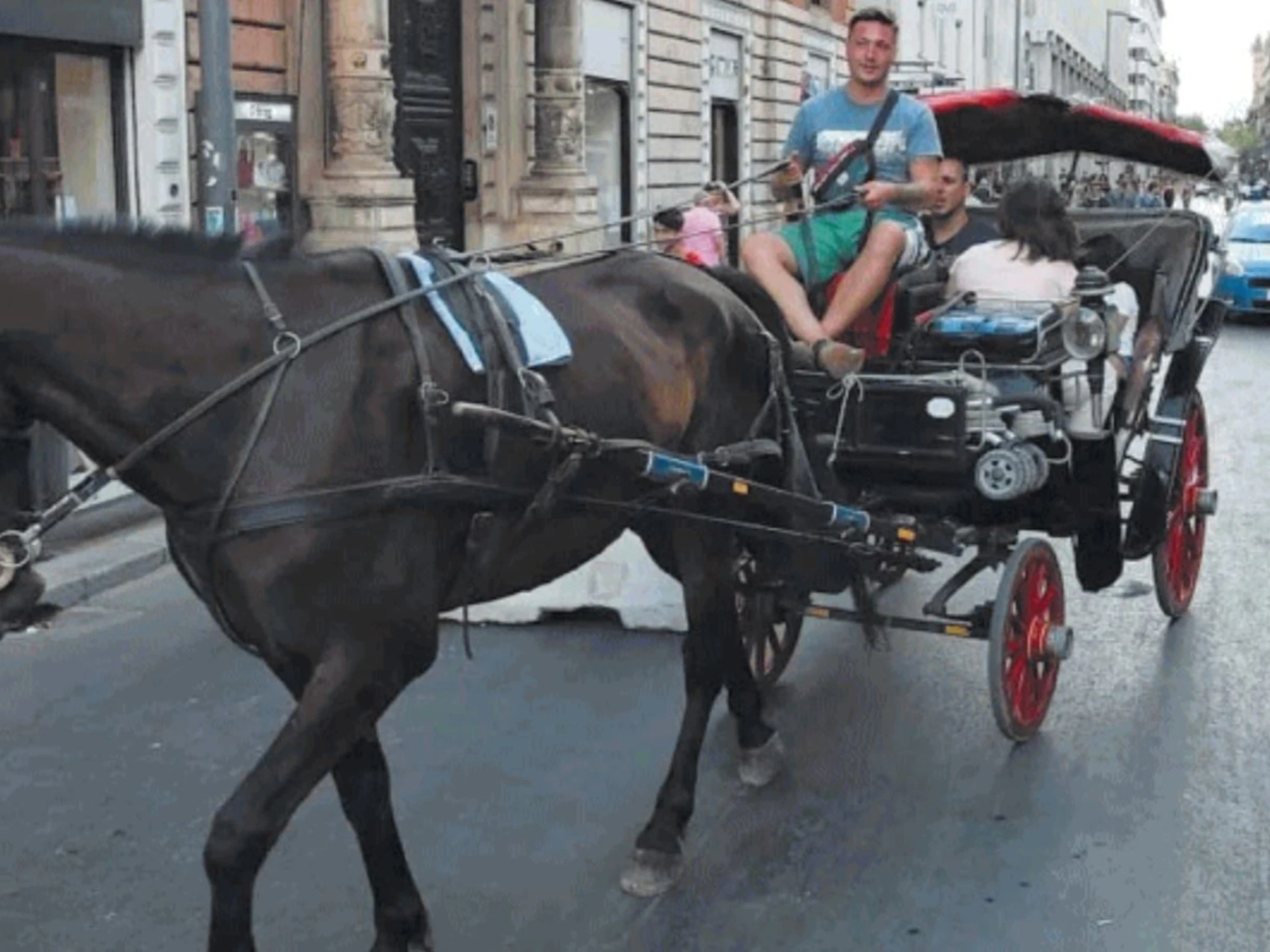 "Giro in carrozza?": il conto fa esplodere il caso