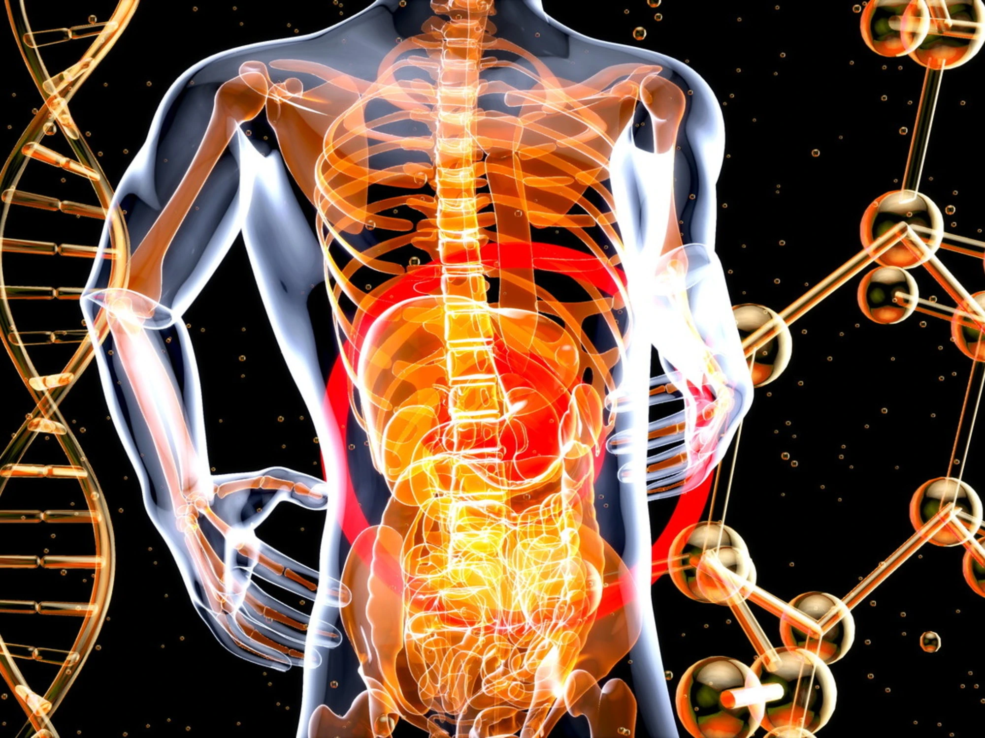 Intestino: così il microbioma può influenzare la salute fin dai primi mesi di vita