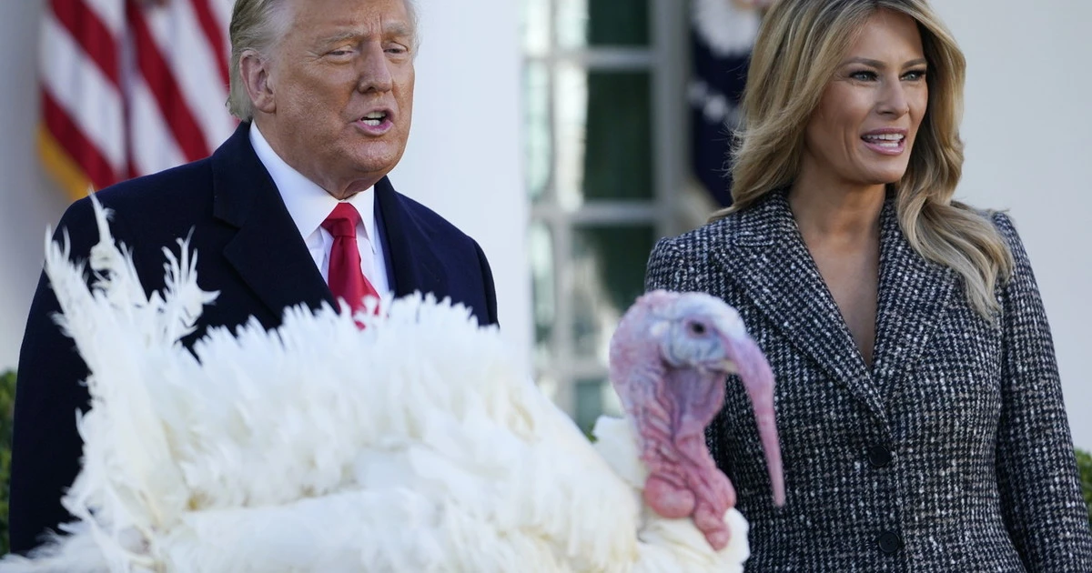 Melania Trump, l'impensabile gesto dietro a questo tacchino: così il pennuto salva il matrimonio con Donald?