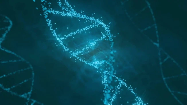 Cardiomiopatie, identificato gene finora sconosciuto