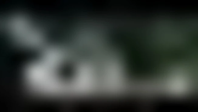 aW1hZ2VzLzIwMjUvMDYvMjUvMTQzNDE2Mzg4LWVkZTlkMWIzLWJhMGQtNGFhMC1hNmZiLTNmZWY3NmYzZTA5Ny5qcGc.webp