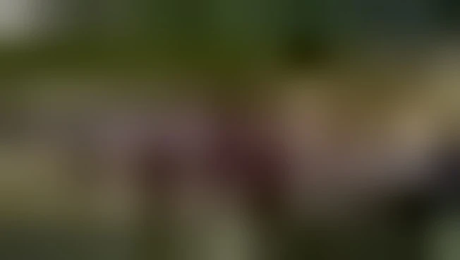 https://media.liberoquotidiano.it/3luPvPLGVFo1GtYjoifP3f4o77jgEEU8JOz8-V8_vxU/width:800/quality:90/aW1hZ2VzLzIwMjYvMDYvMjUvMTMzMDMwMDE0LWYzNDZmYWFiLTMwNDgtNDdmOC1iZTgxLWVjMzFhMTZmNWUxYS5qcGc.webp