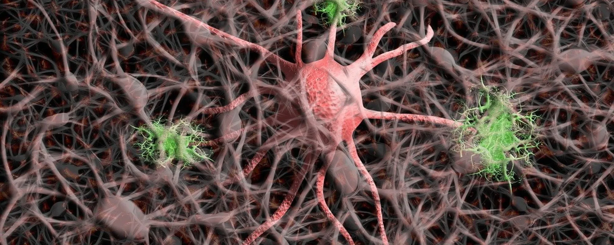 Cancro, ecco i tre fattori-chiave che innescano la malattia