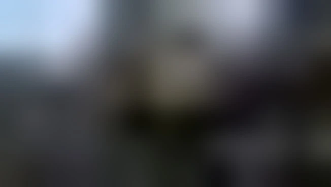 https://media.liberoquotidiano.it/3tcnV7TP0D393p5RAi6XrH4PPq7JRboZZkO1zL--X0k/width:800/quality:90/aW1hZ2VzLzIwMjYvMDYvMjYvMTUwMDI0NzA2LWQ5NDRmZDJkLWQ5NzktNGM1YS04YWQwLTQ4ZGRmMjdmOWUxNC5qcGc.webp
