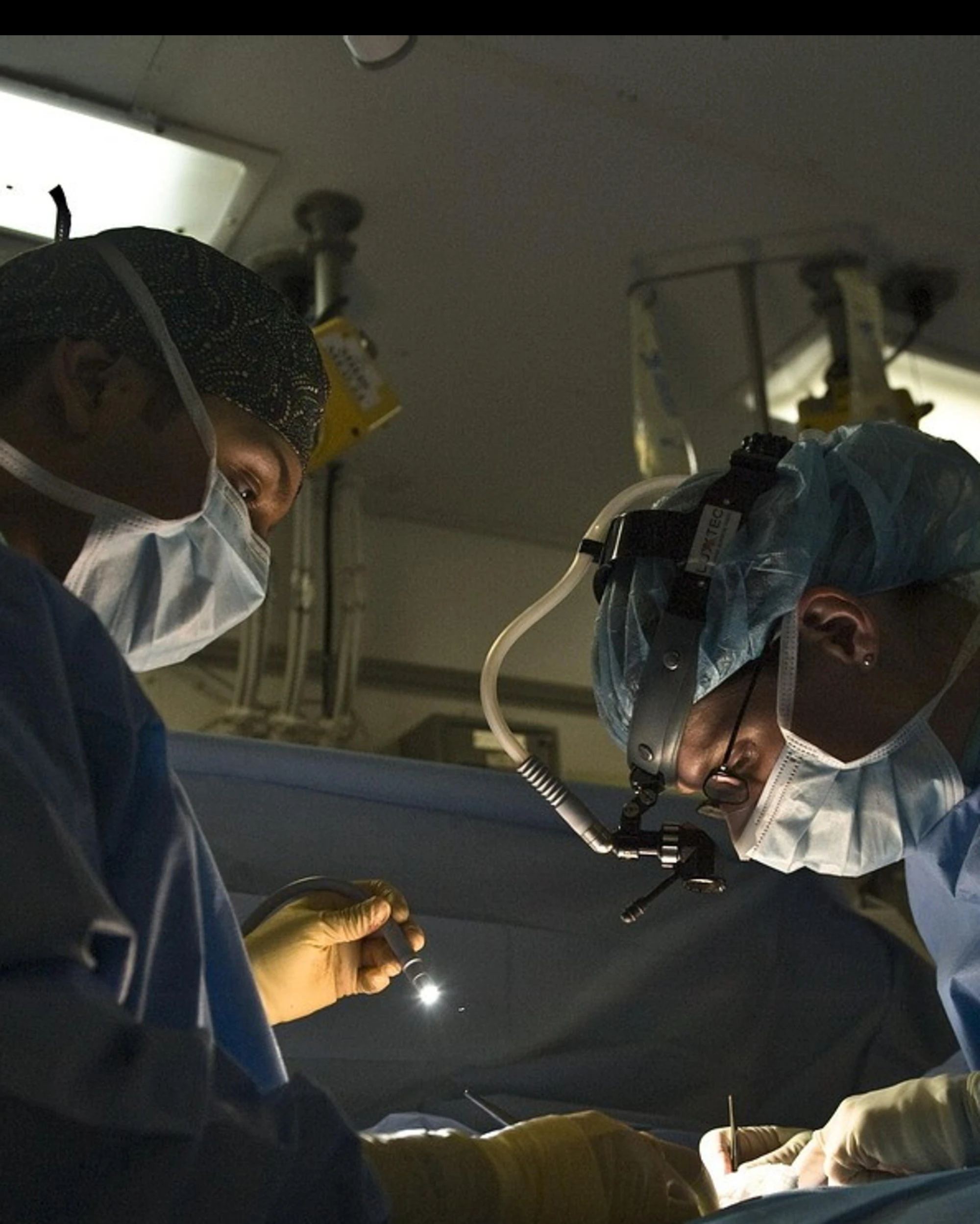 Il super fungo Candida auris, allerta negli ospedali italiani
