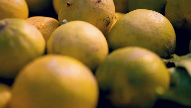 Imprese, la formazione leva strategica per l'internazionalizzazione