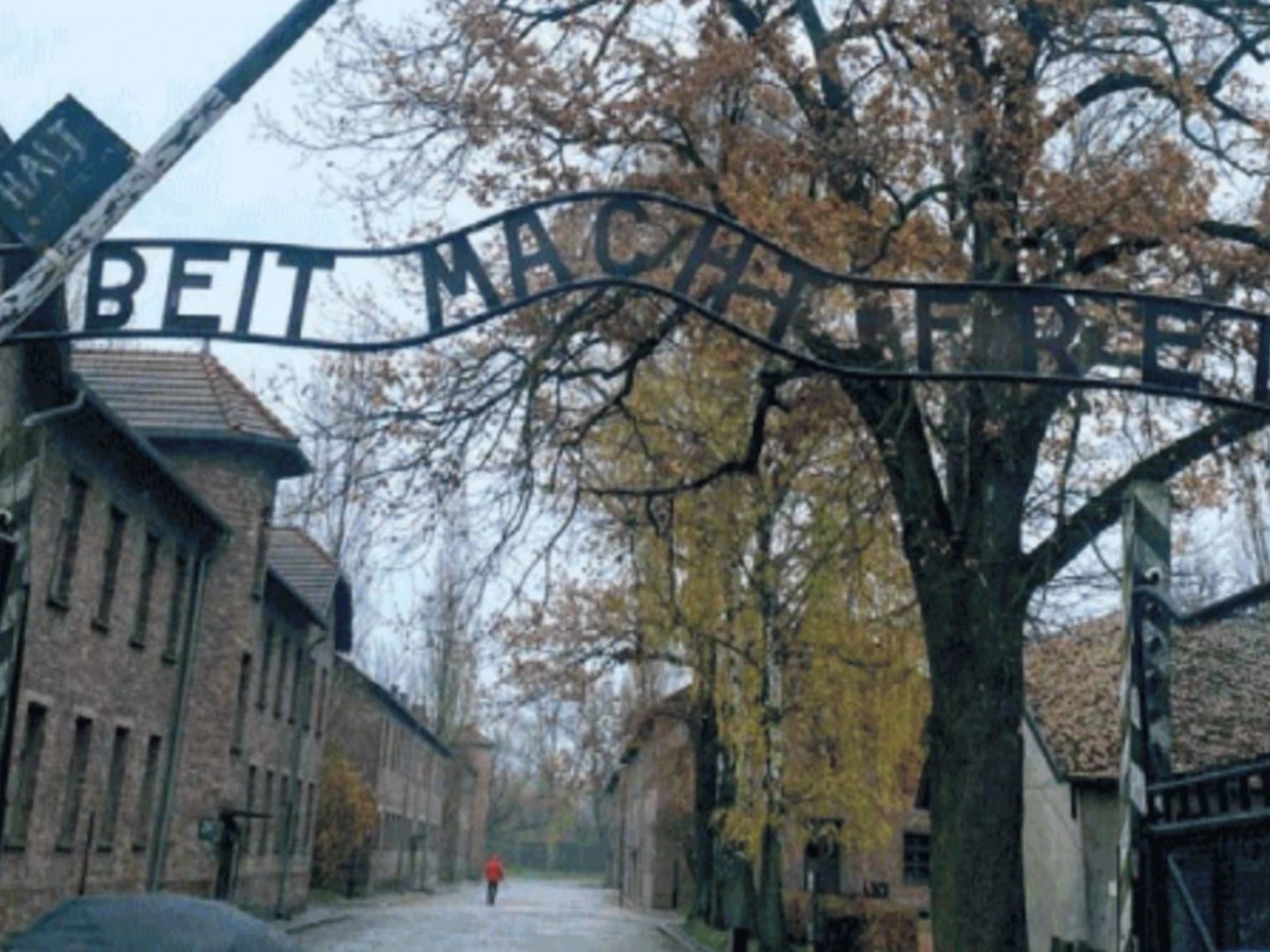 Nei campi di sterminio nazisti che hanno ispirato il 7 ottobre