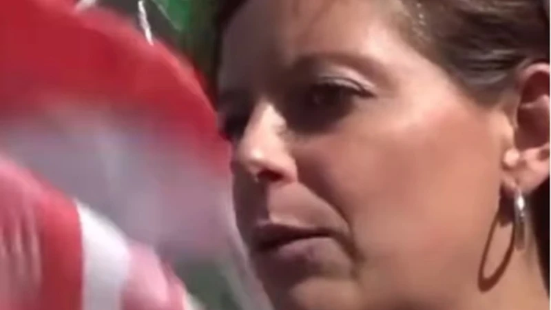 Ilaria Salis condannata, cosa pensate delle sue spiegazioni sulla vicenda?