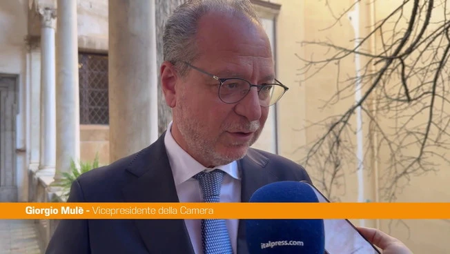 Hormuz, Mulè "Situazione molto preoccupante"