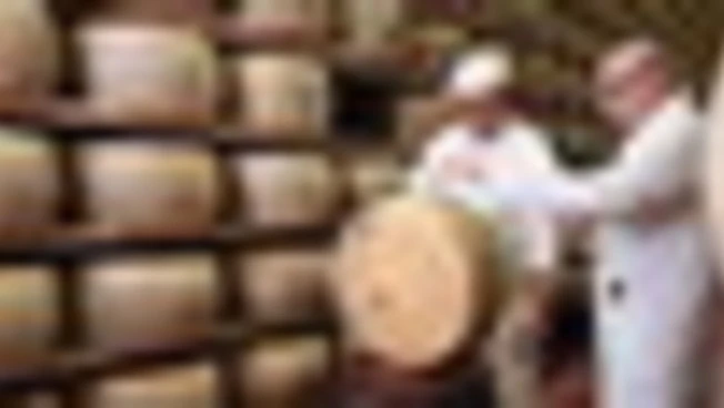 Parmigiano Reggiano, cresce la montagna: oltre il 22% delle forme