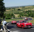 Mille Miglia 2010