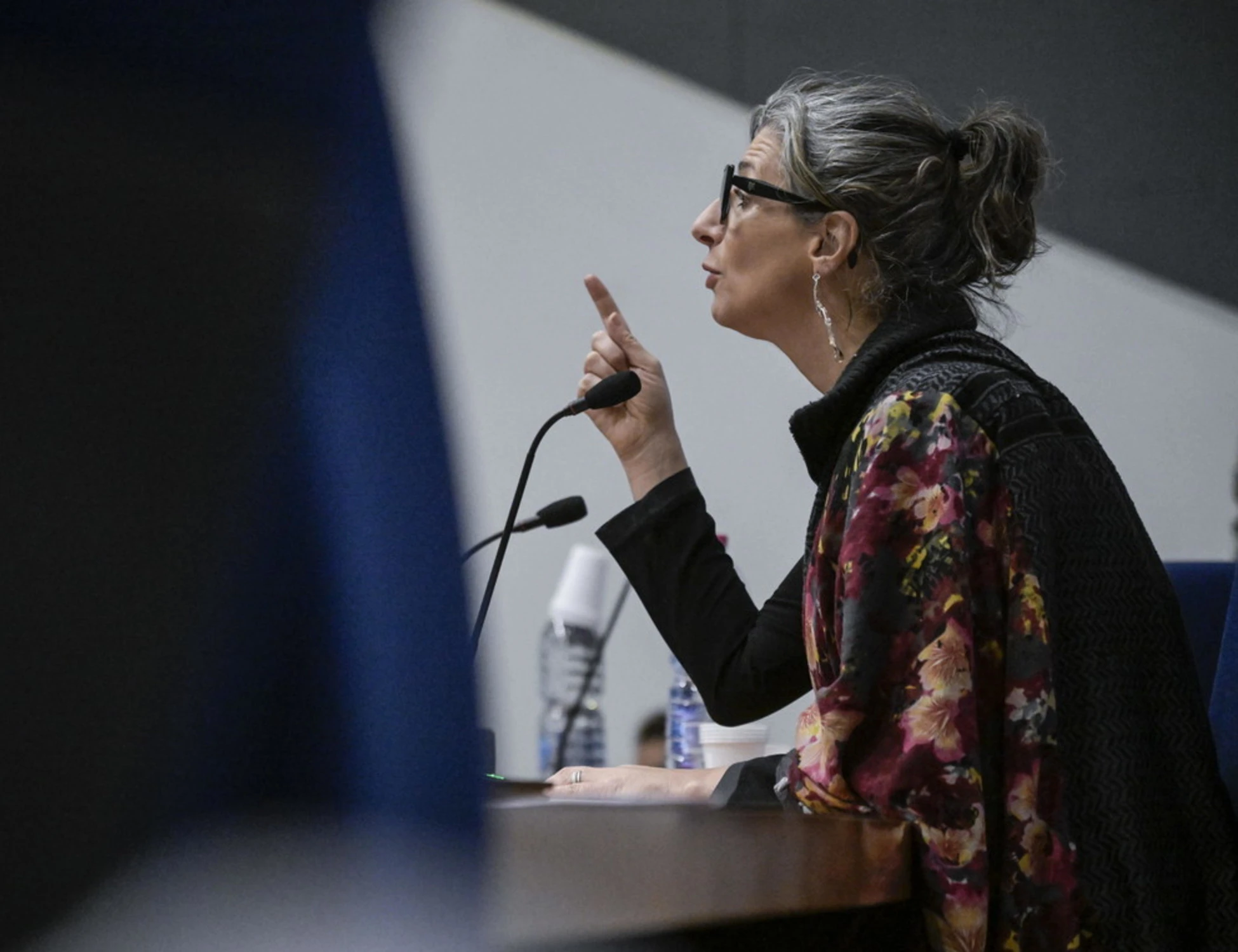 Francesca Albanese invita a occupare? Valditara invia gli ispettori al liceo