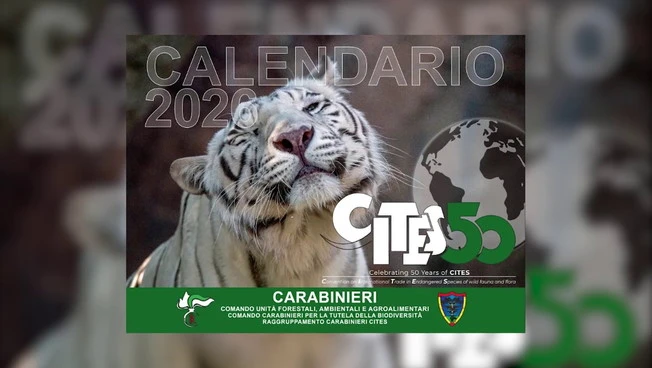 Carabinieri CITES, 50 anni di tutela della biodiversità globale
