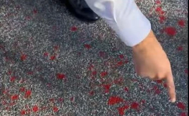 Salvini incenerisce i teppisti: "Questo è sangue? No, ecco cos'è"