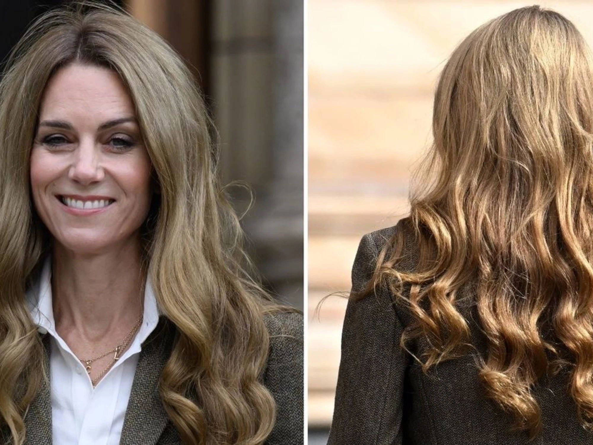 Kate Middleton scoppia la bufera: "Ha una parrucca"