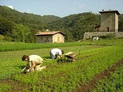 I nuovi 'green jobs' dal campo all'allevamento, settori chiave per il rilancio economico