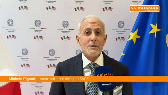 Usa-Italia, Pignotti (Sace) "Puntiamo su innovazione e nuovi mercati"