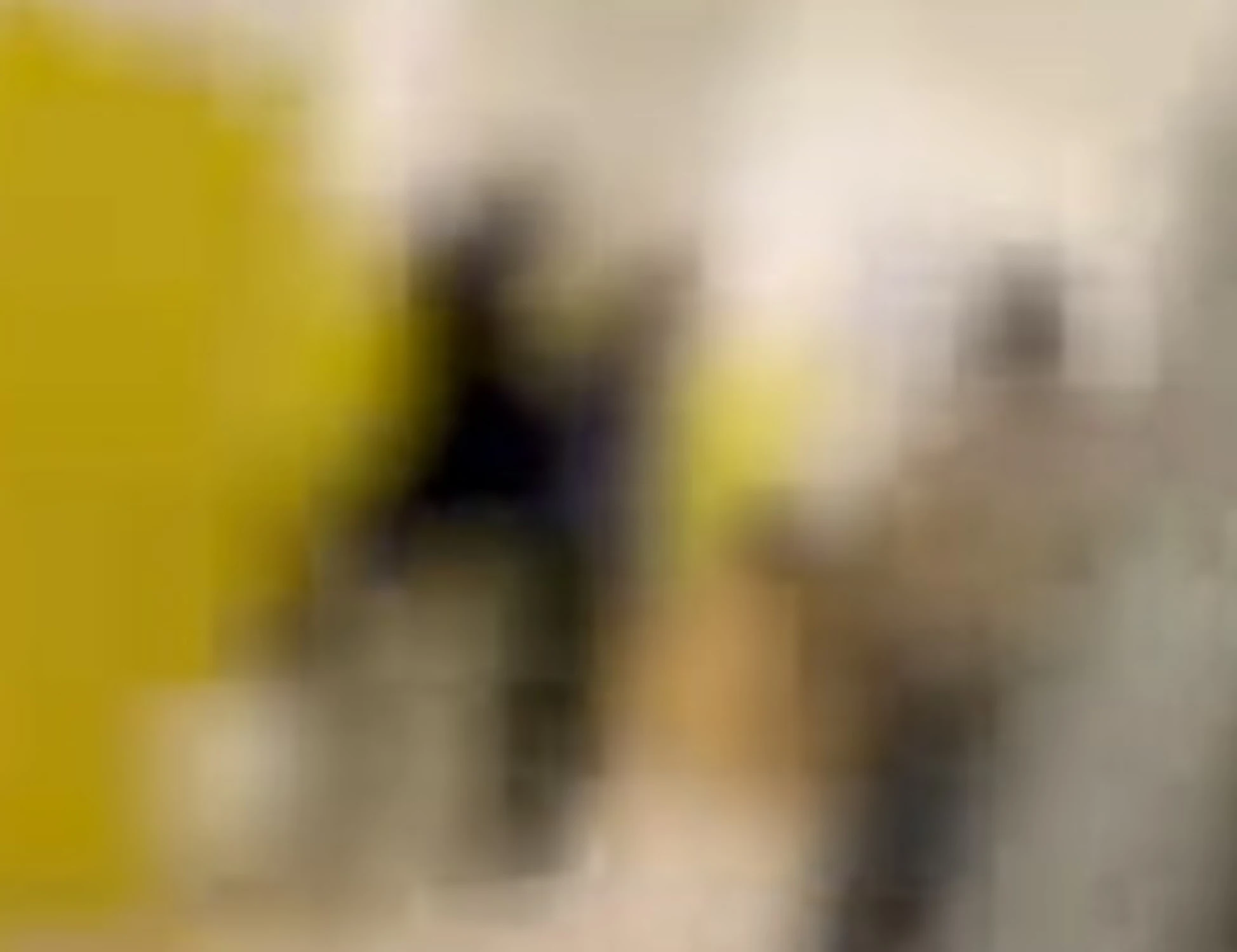 Trescore Balneario, l'agghiacciante chat del 13enne prima dell'aggressione: "Dormi?", "Prova ancora"