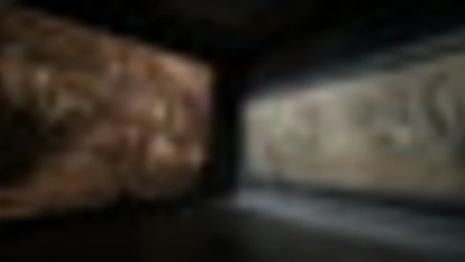 Il classico e Samorì: la ricerca di una continuità trasgressiva