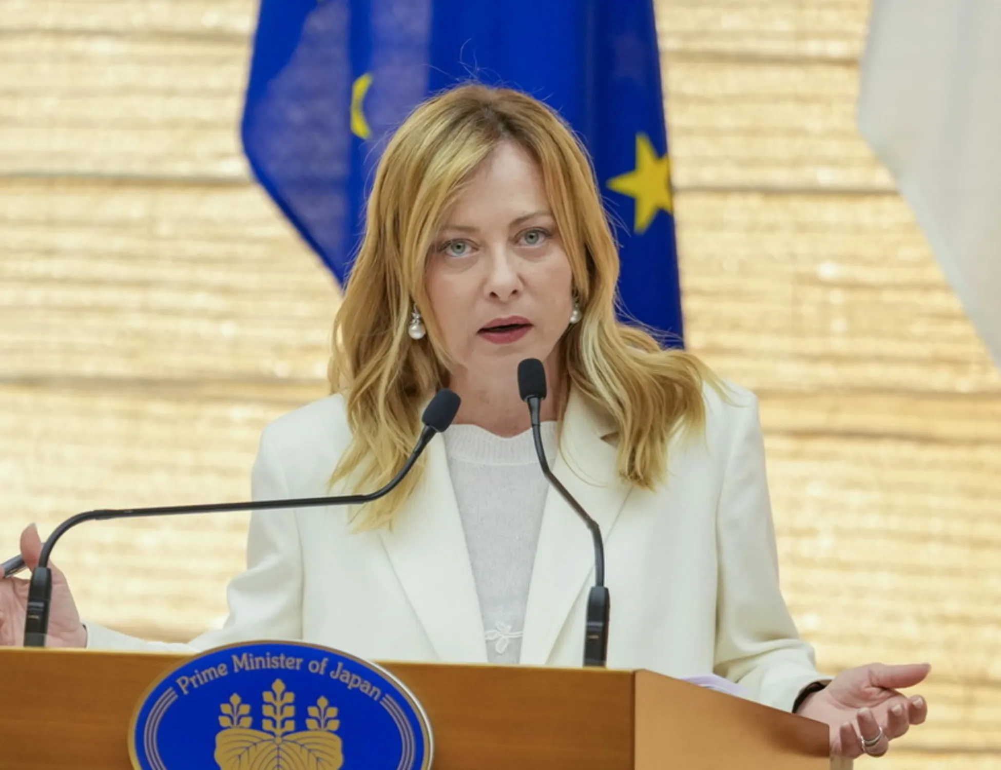 Leggi l'articolo: "Ve la do io la notizia": Meloni e Gaza, il ruolo italiano