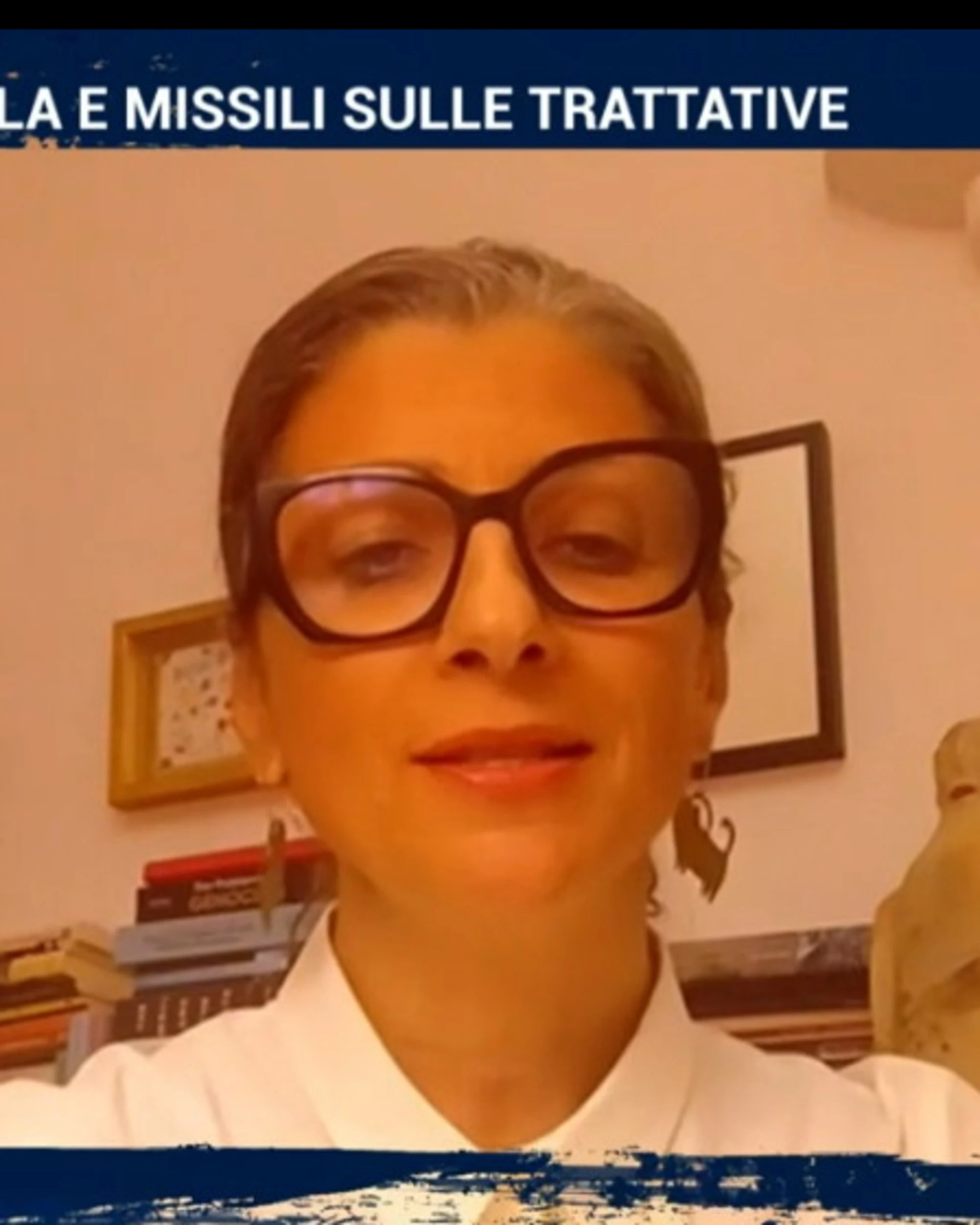 Flotilla, la versione di Francesca Albanese: sconcerto a La7