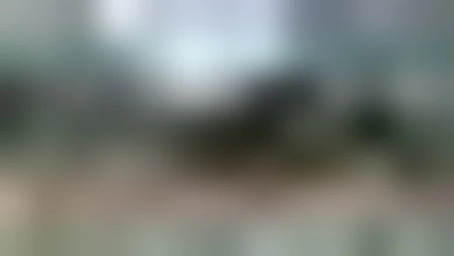 https://media.liberoquotidiano.it/4av_SuOV2RHVYBBnzqQ8DJf0WiQrdMXrvHwPBypkf3M/width:800/quality:90/aW1hZ2VzLzIwMjUvMDkvMjMvMDkwODI3NzAzLTM4Njc0MjA0LTgxNmEtNGQ2Yy04NTYzLWNkYTZkNmYzNTExOC5qcGc.webp