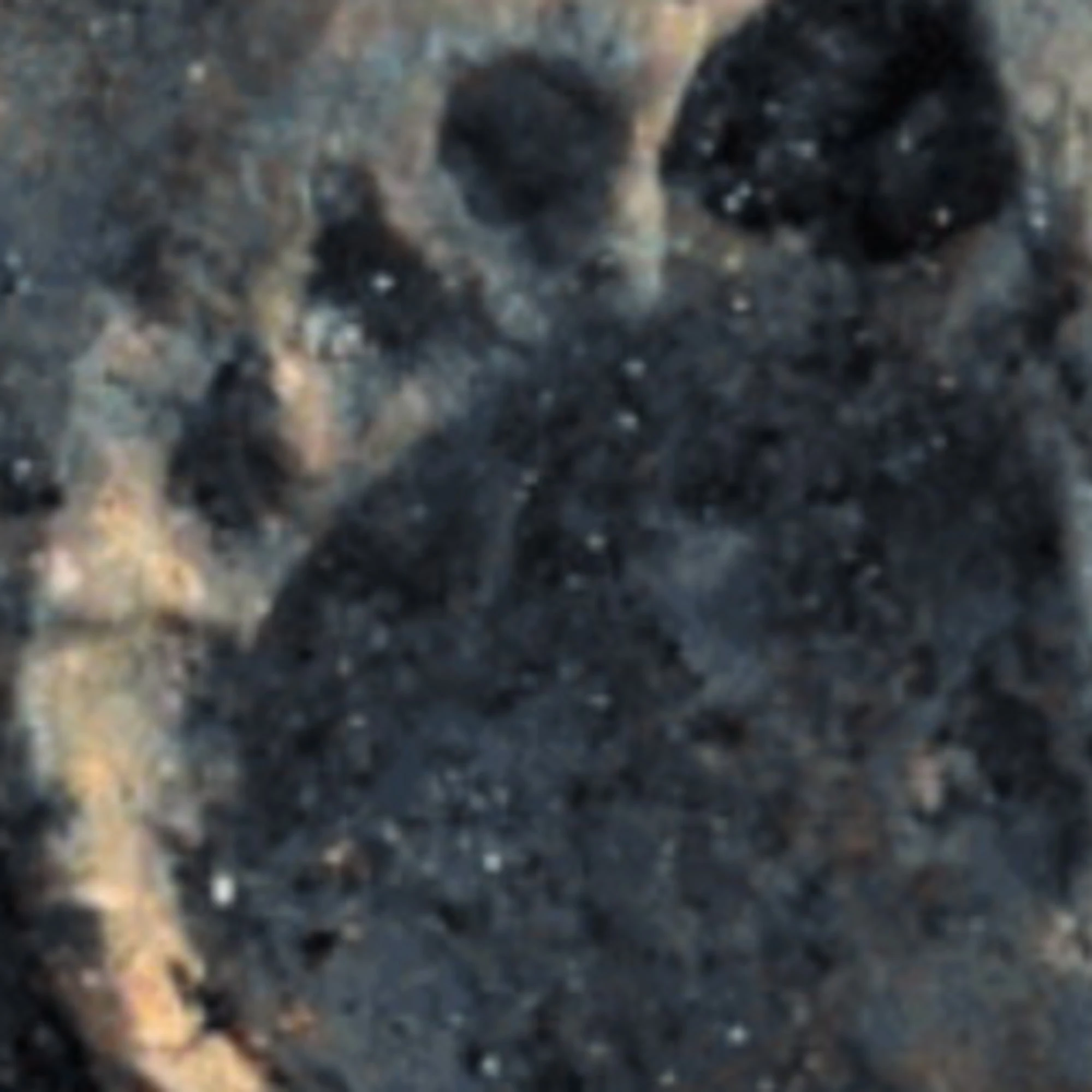 Liguria, scoperta la prima orma del cane domestico