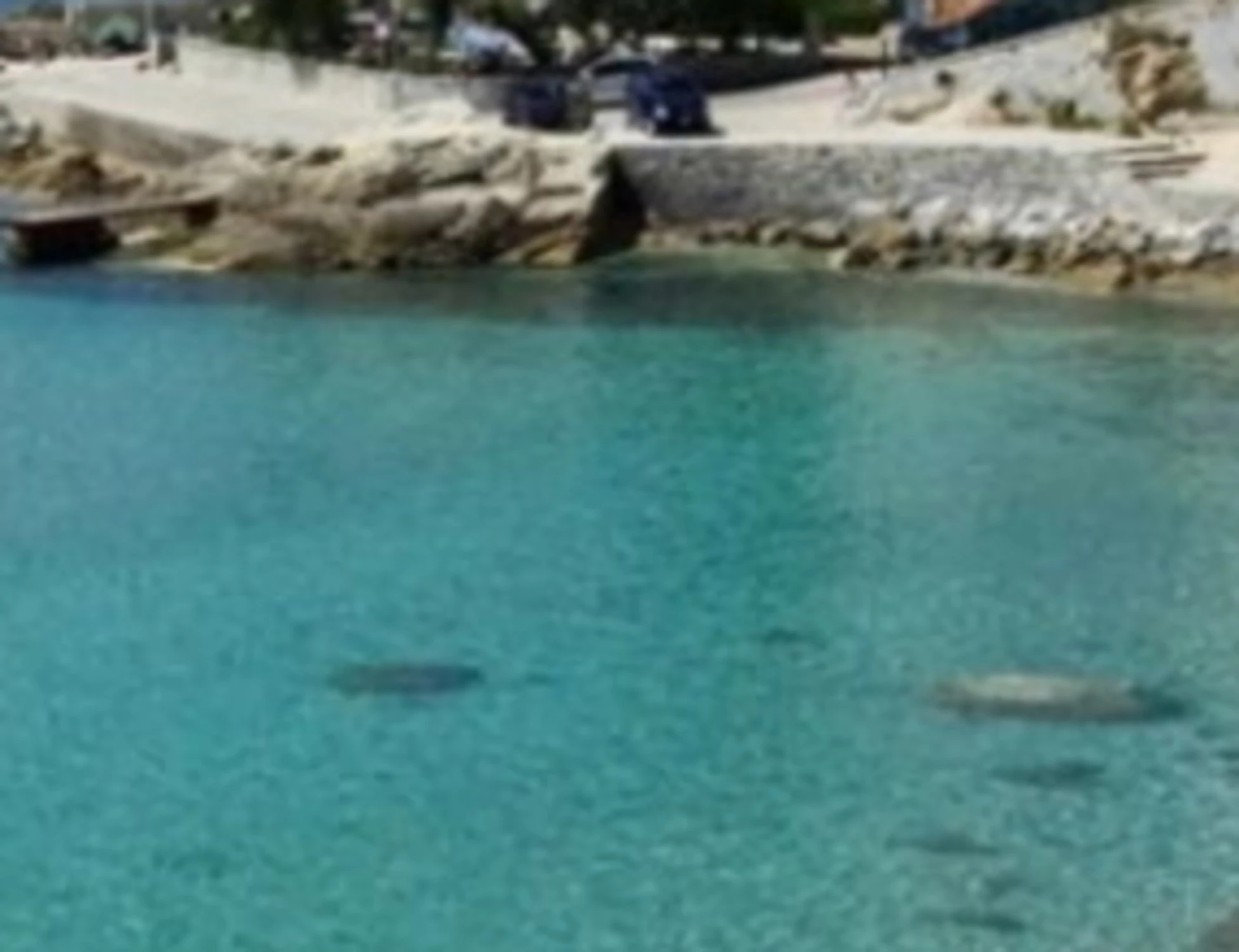Isola d'Elba, "intervento d'urgenza" dell'Esercito: in spiaggia trovato un residuato bellico