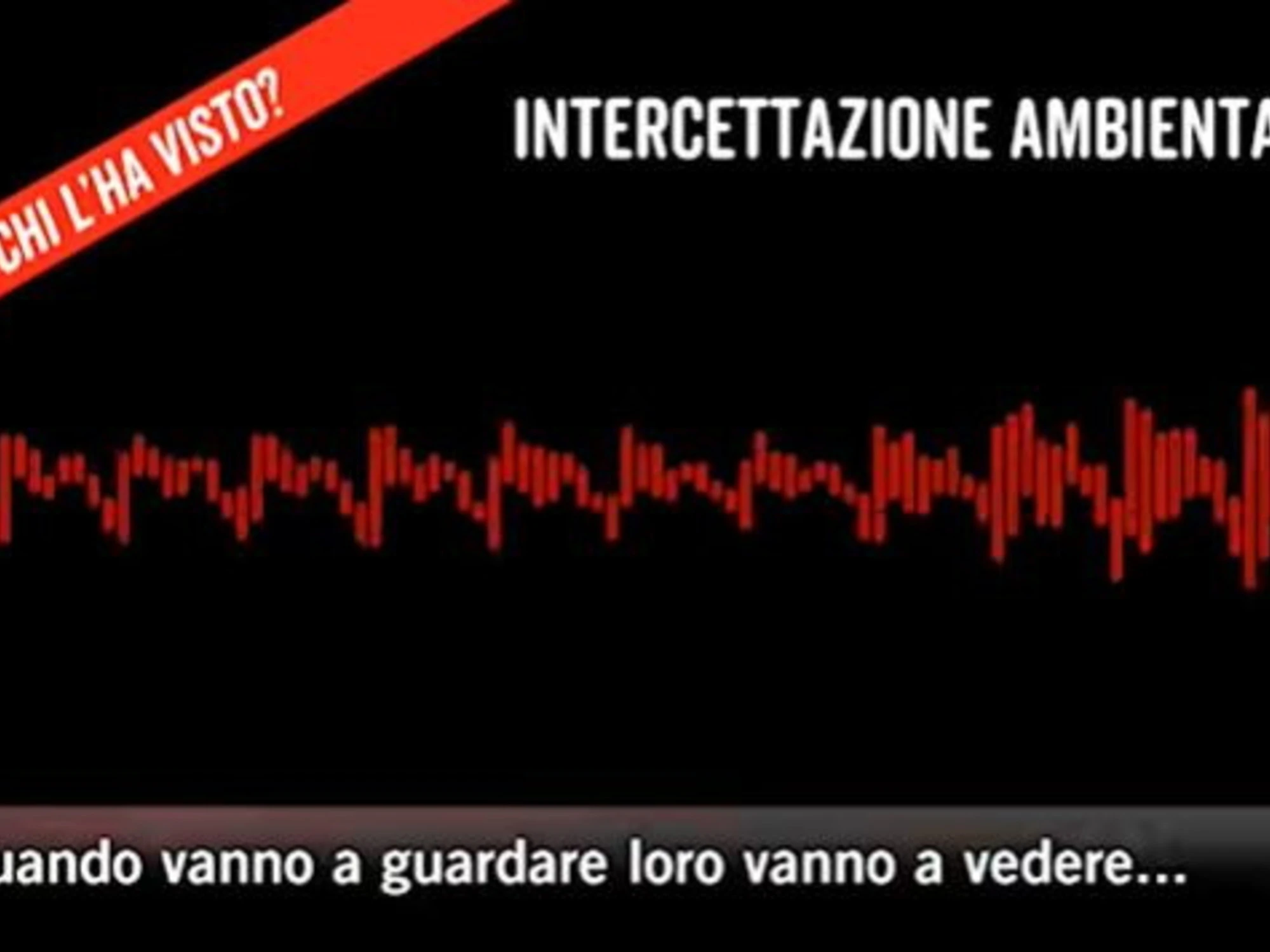 Garlasco, l'intercettazione di mamma Poggi dopo l'omicidio: "Cercano quello che non c'è"