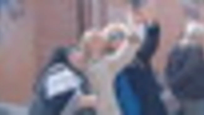 Referendum Giustizia, Meloni vota a Spinaceto e Schlein a Testaccio