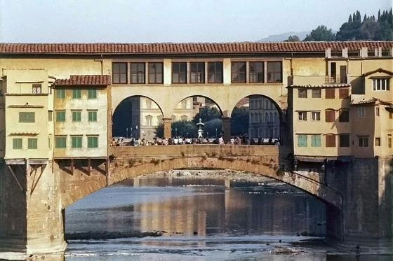 A Firenze un quartiere isolato per la febbre africana