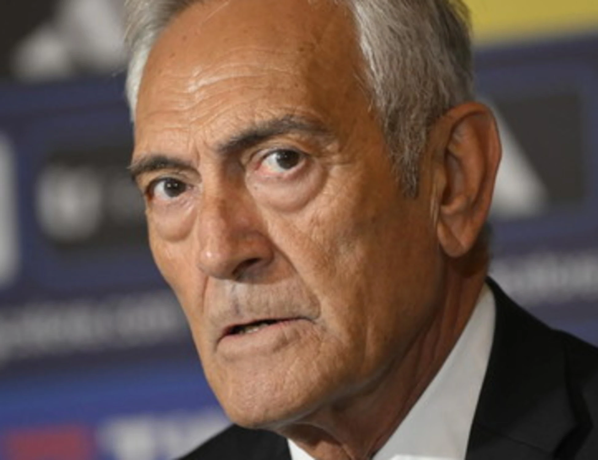 Irma Testa spiana Gravina: "Dilettanti? I veri professionisti siamo noi"