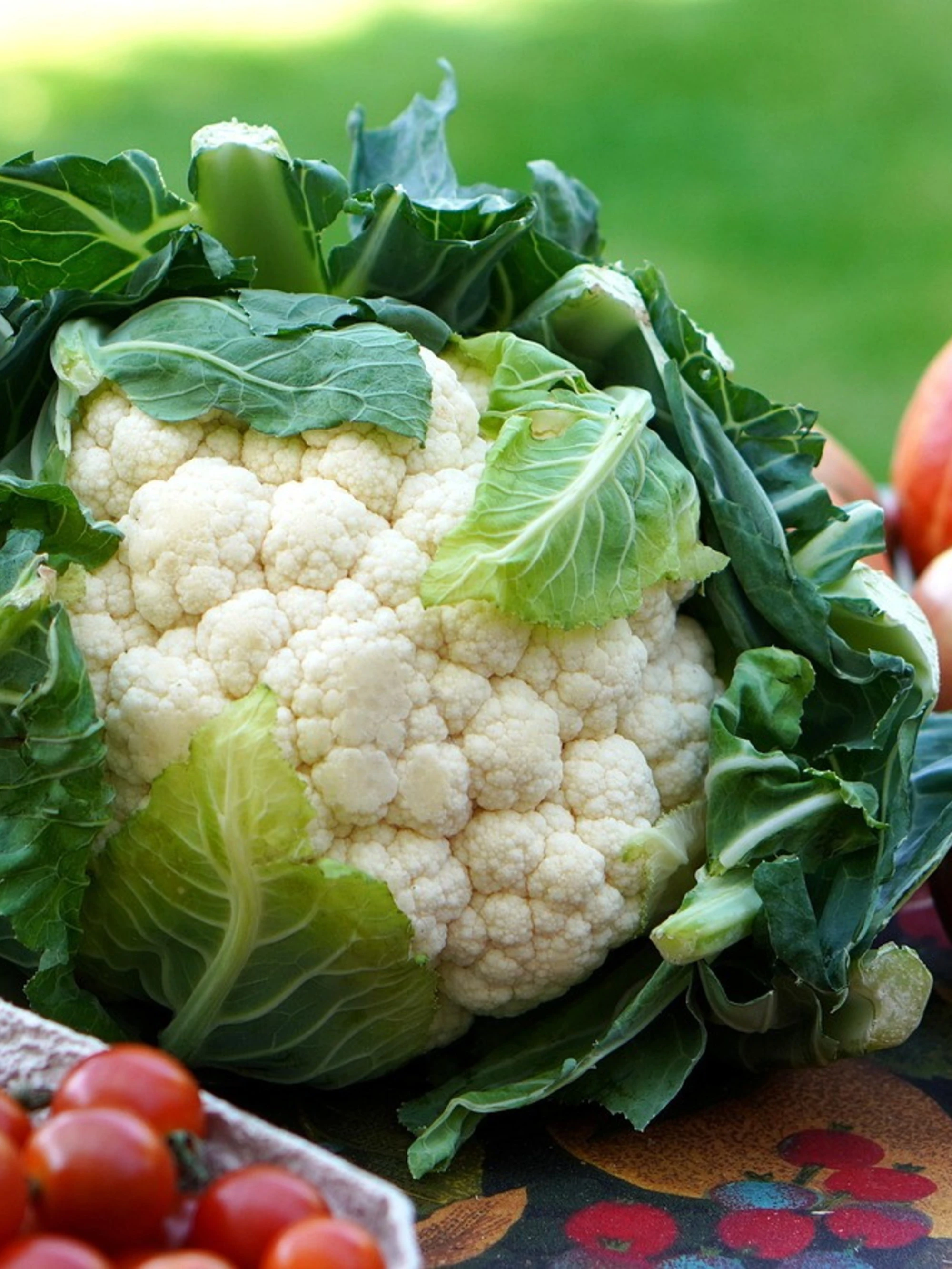 Le regole a tavola come prevenzione per il tumore al colon 