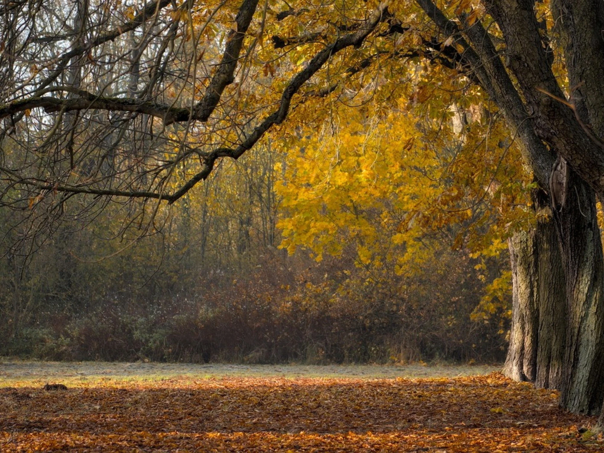 Autunno, il segreto di settembre: bilanci e promesse, l'eterno cambiamento