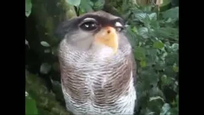 480x270