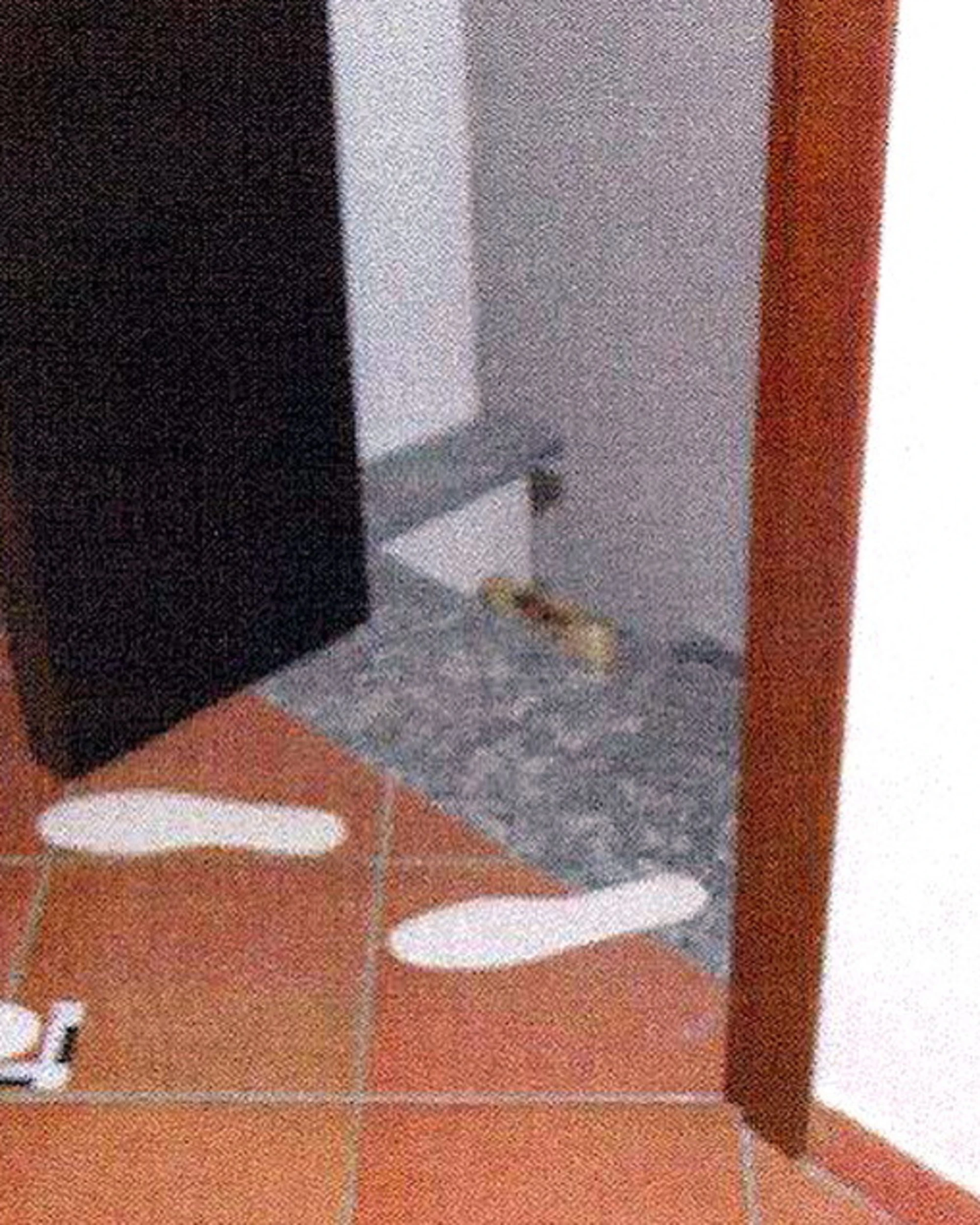 Garlasco, era tutto chiaro già ad agosto 2007