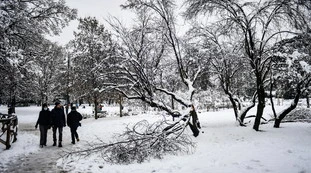 Neve  