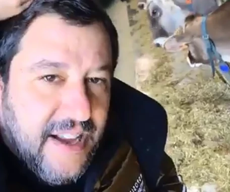 Matteo Salvini non rispetta il silenzio elettorale: nel giorno del voto il messaggio alla sinistra