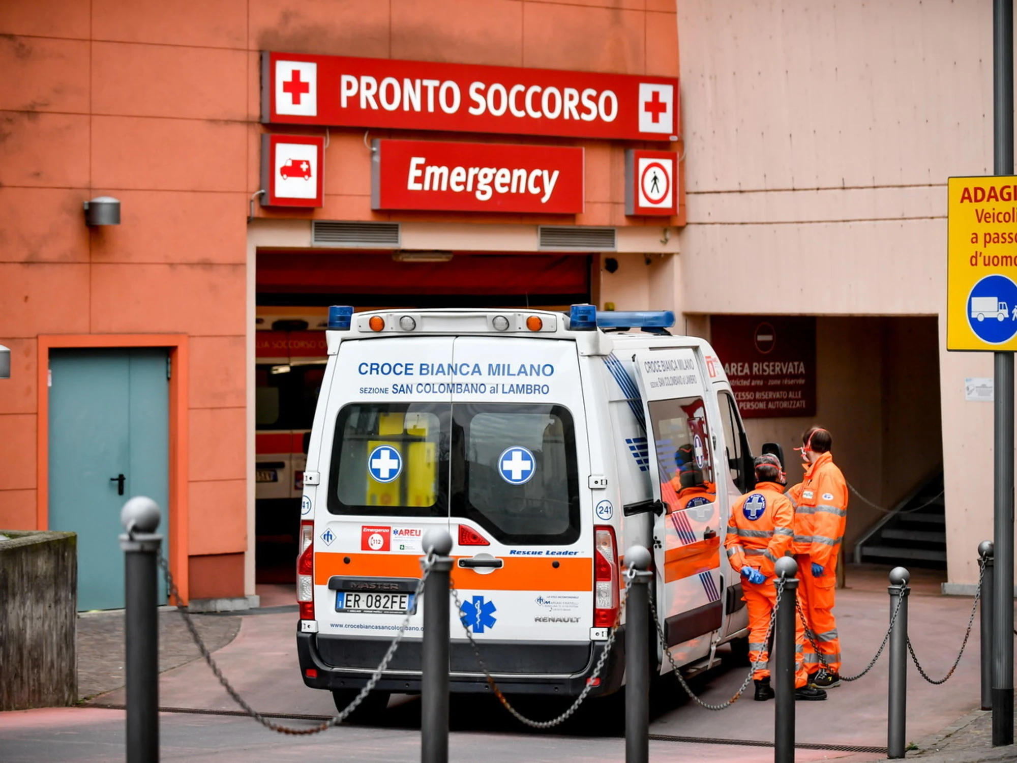 Ostia, muore dopo la puntura di un ragno violino