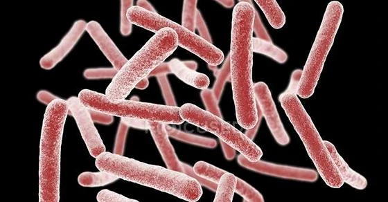Batterio killer, in Veneto richiamate 10 mila persone: il sospetto del contagio