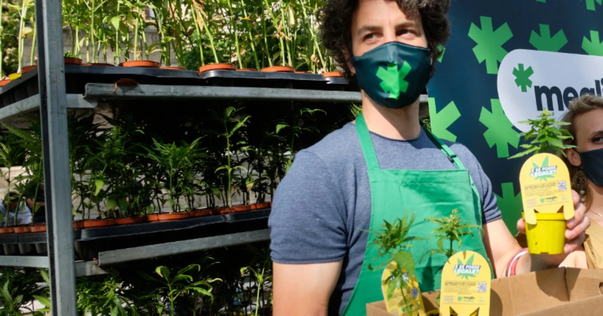 Mattia Santori, l'anti-Salvini che coltiva droga dentro la sua casa