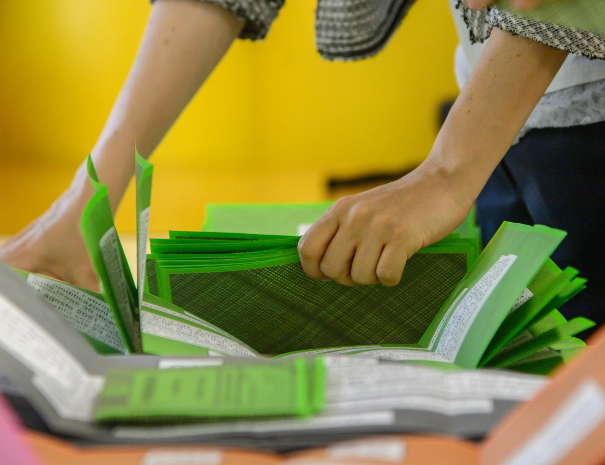 Cittadinanza, quanti elettori Pd votano no: che schiaffo...