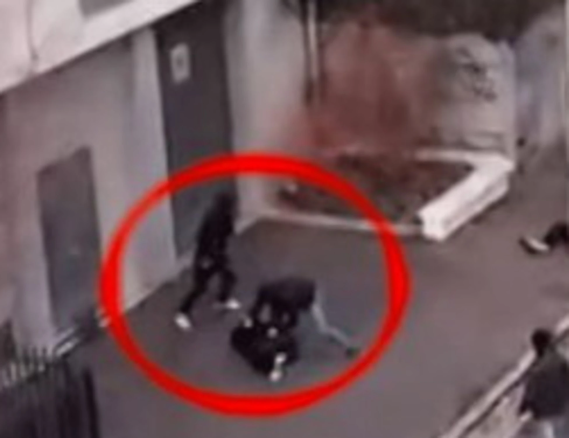 Deranque ucciso a pugni dagli antifascisti, la foto che polverizza Avs