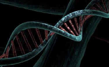 Cancro ereditario, svolta nella genetica: un test di laboratorio distingue i geni pericolosi da quelli innocui