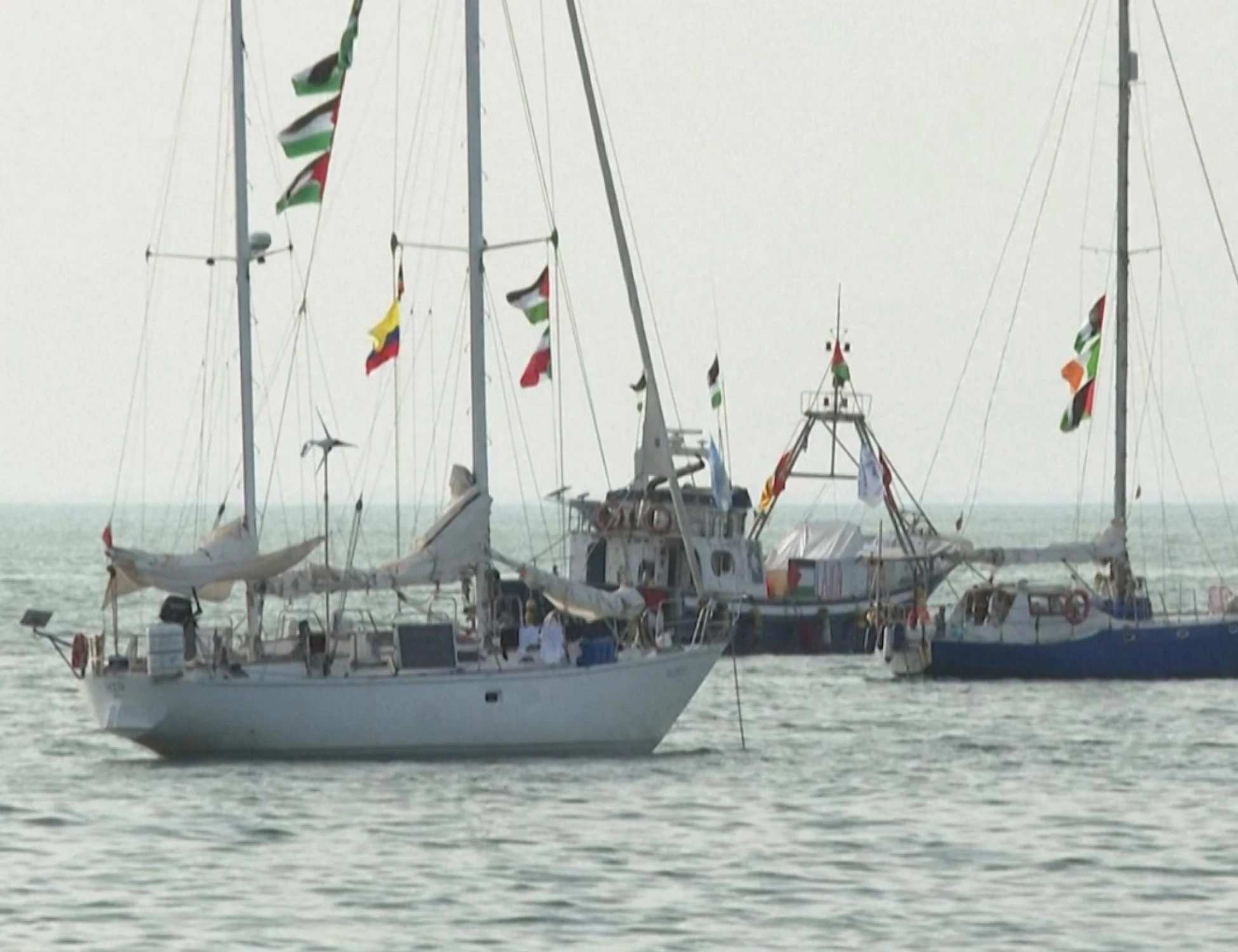 Flotilla pro-Pal e l'era di Hitler, quelle similitudini