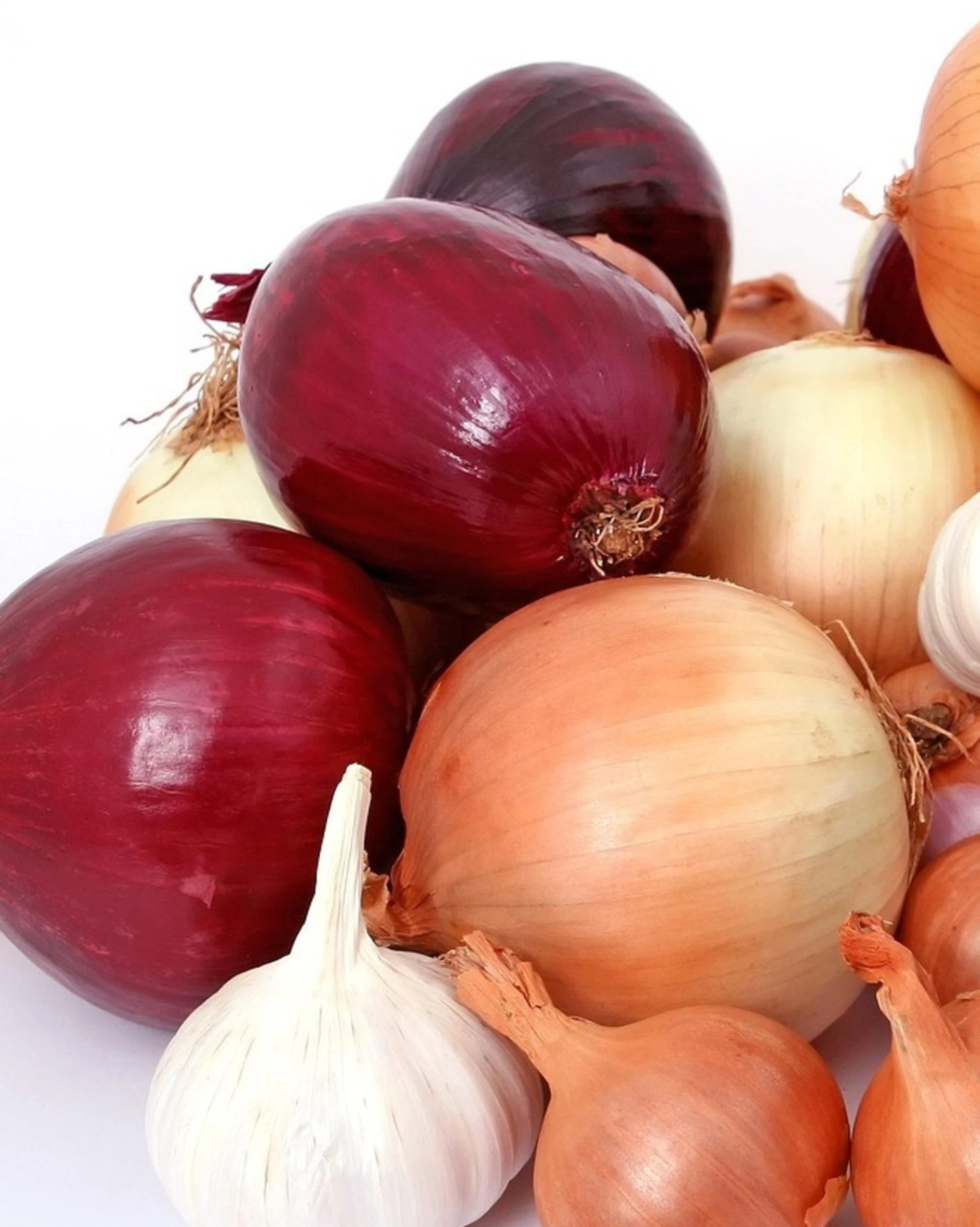 Cipolle, 70 varietà diverse: tutto quello che non sapete