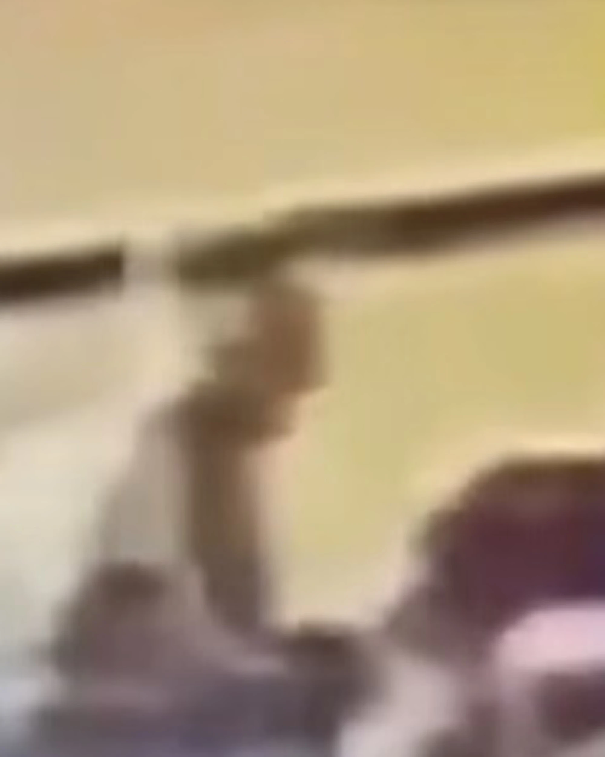 70enne azzanna pitbull al collo per salvarsi: il video-choc